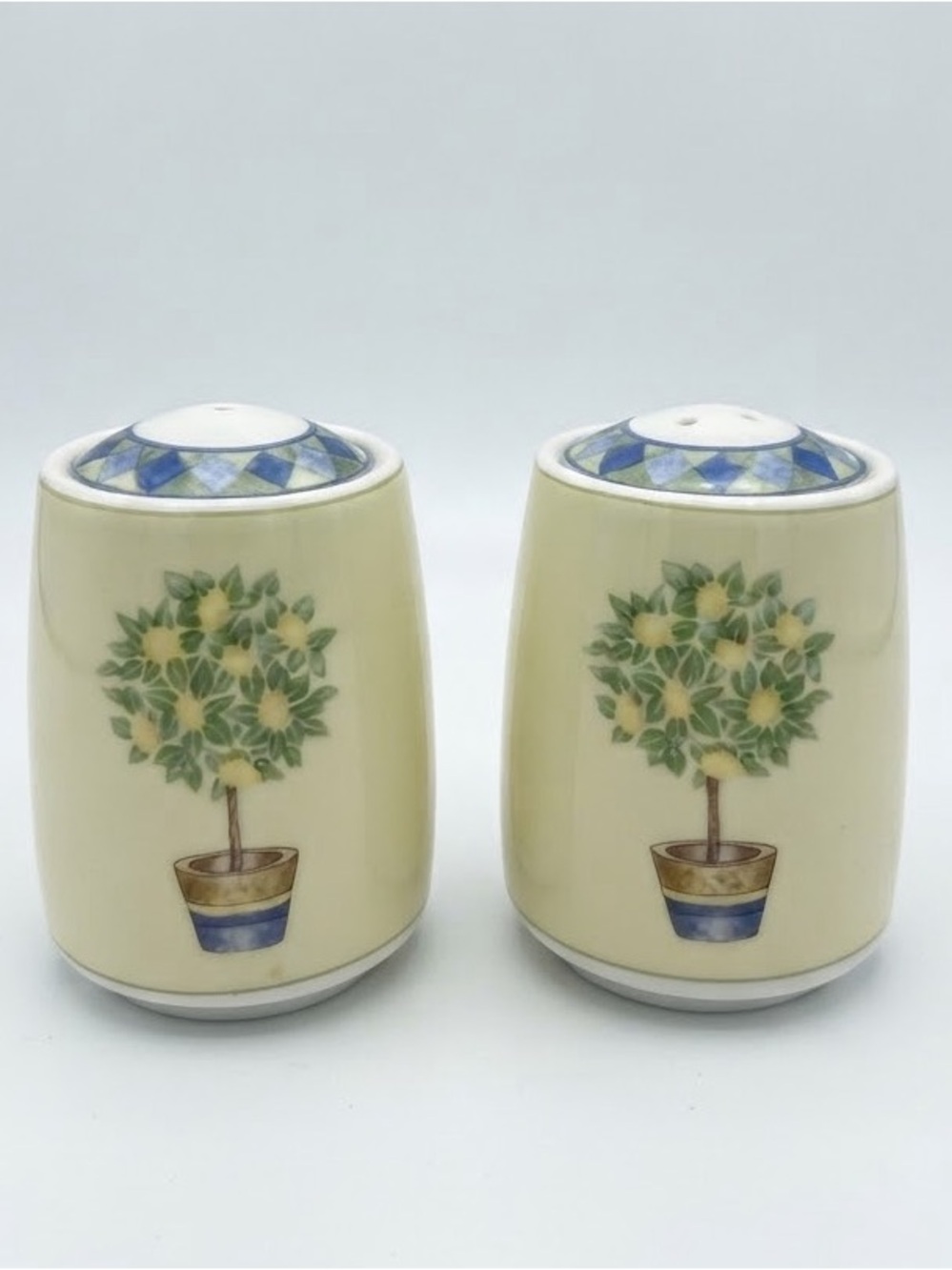 Royal Doulton Carmina Lemon Tree Salt and Pepper Shakers